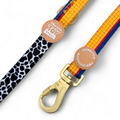 Woody Ultimate Bundle