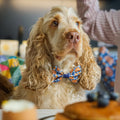 Bow Tie - Rise & Shine