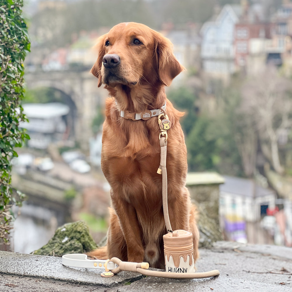 Disney© Treat Pouch - Hunny Pot