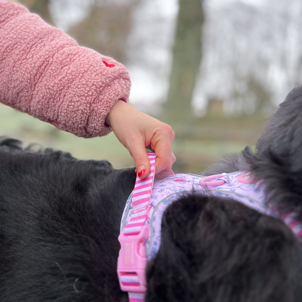 Disney© Tough Trails™ Harness - Piglet