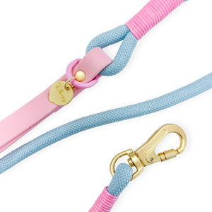 Disney© 4ft Rope Lead - Mad Hatters Tea Party