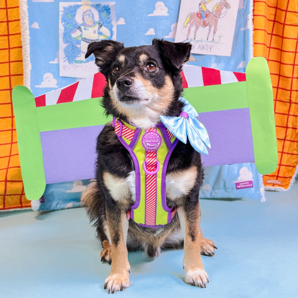 Disney© Sailor Bow - Buzz Lightyear