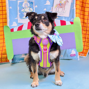 Disney© Sailor Bow - Buzz Lightyear