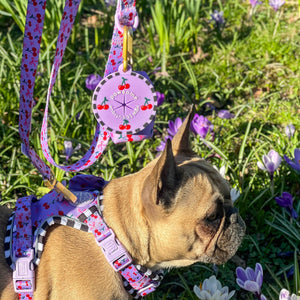 Pawsome Poop Pocket - Cherry Bomb