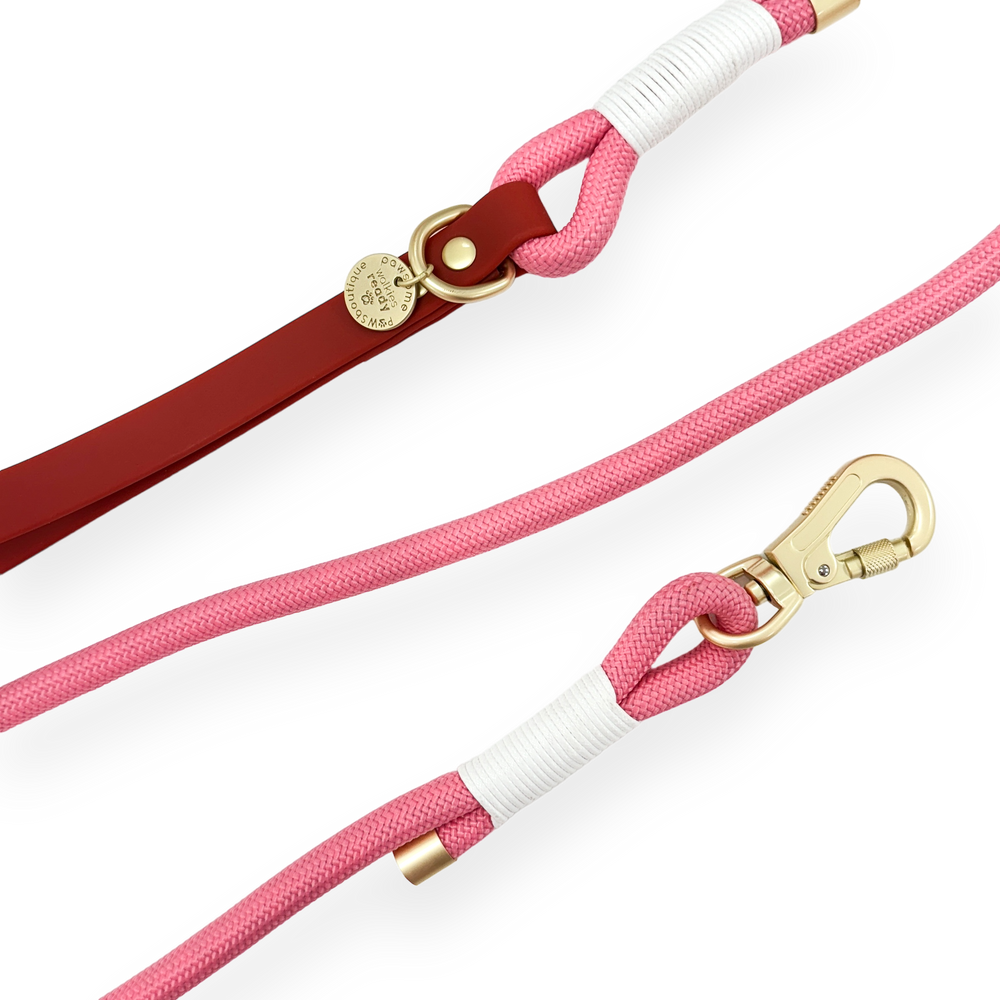 4ft Rope Lead - Red + Pink