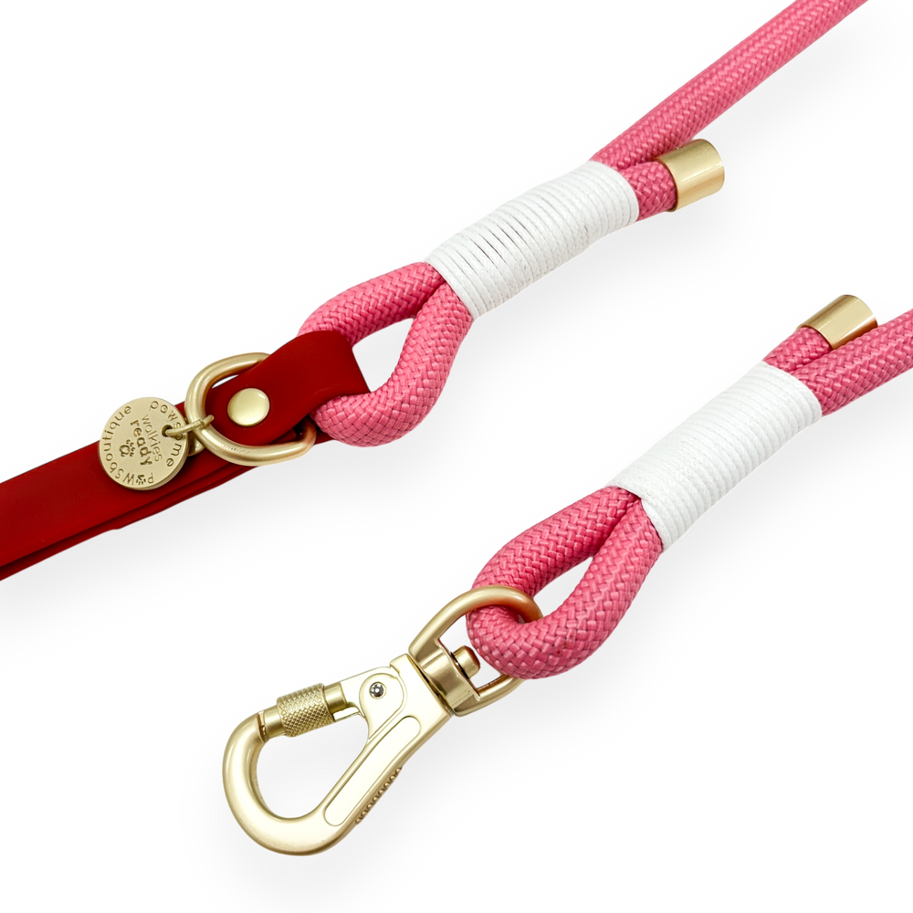 4ft Rope Lead - Red + Pink
