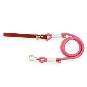 4ft Rope Lead - Red + Pink