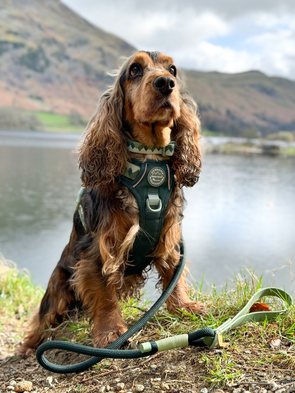 4ft Rope Lead - Walkies Ready® Forest Green