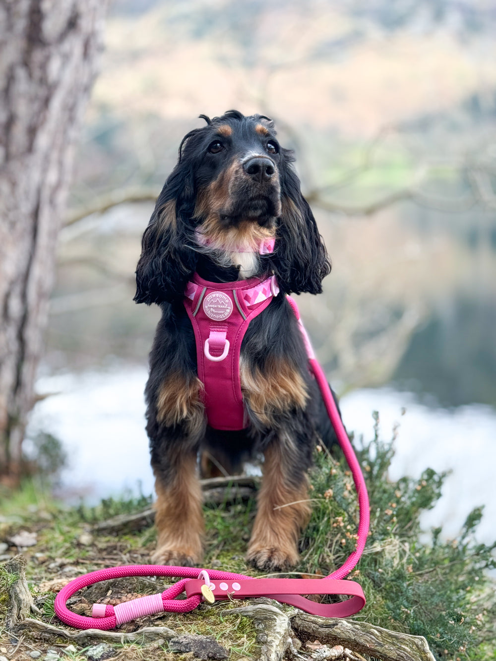 4ft Rope Lead - Walkies Ready® Raspberry Pink