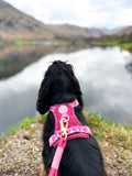 4ft Rope Lead - Walkies Ready® Raspberry Pink
