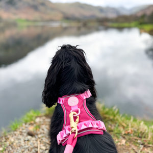 4ft Rope Lead - Walkies Ready® Raspberry Pink