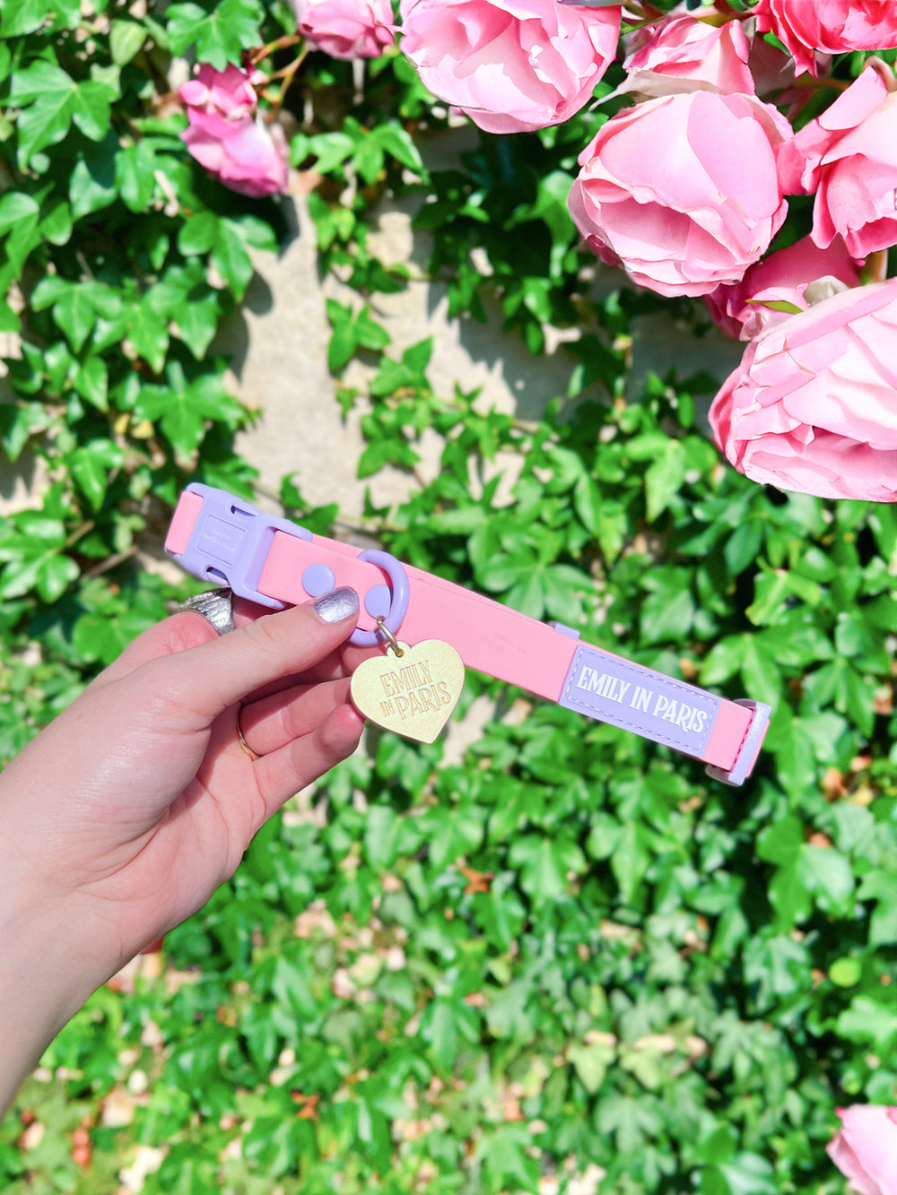 Waterproof Collar - Emily In Paris