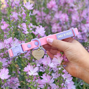 Waterproof Collar - Emily In Paris