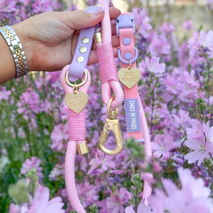 4ft Rope Lead - Emily In Paris