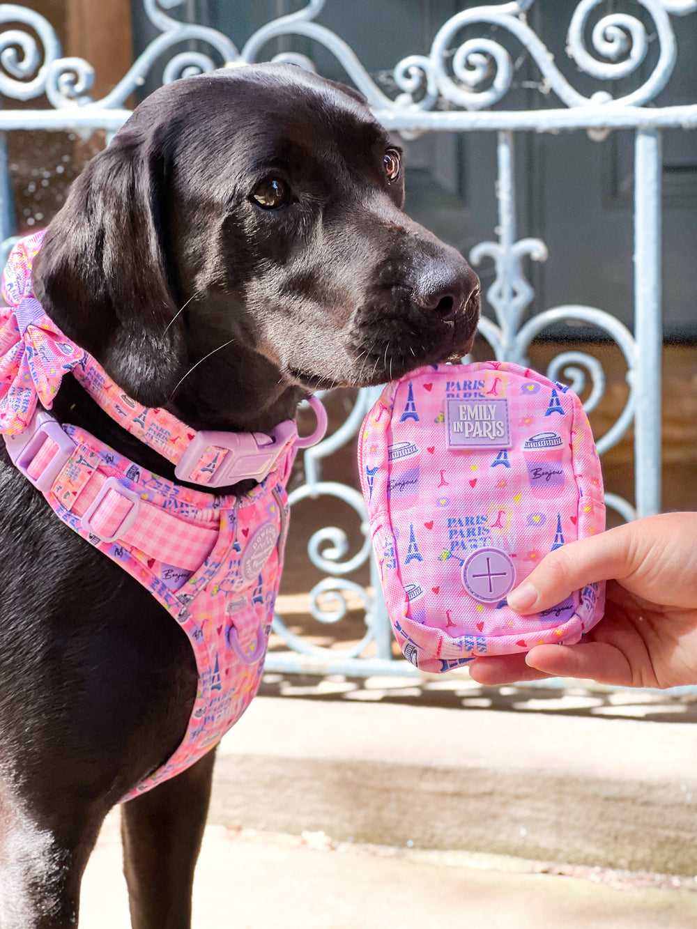 Treat + Go Bag - Emily In Paris