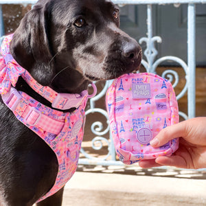 Treat + Go Bag - Emily In Paris