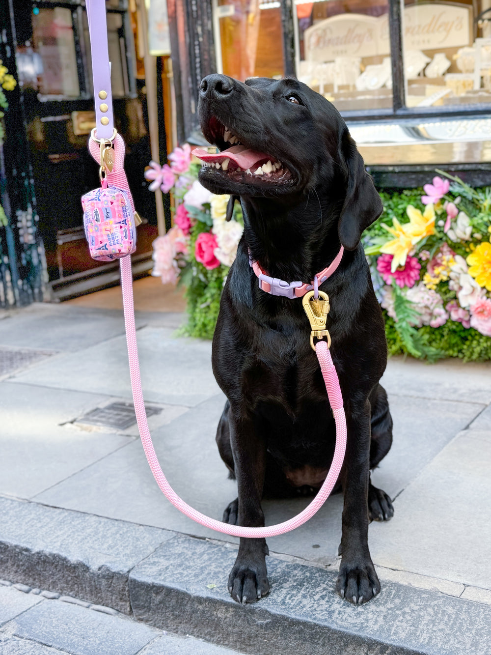 4ft Rope Lead - Emily In Paris