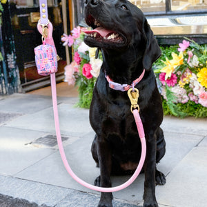 4ft Rope Lead - Emily In Paris