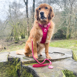 4ft Rope Lead - Walkies Ready® Raspberry Pink