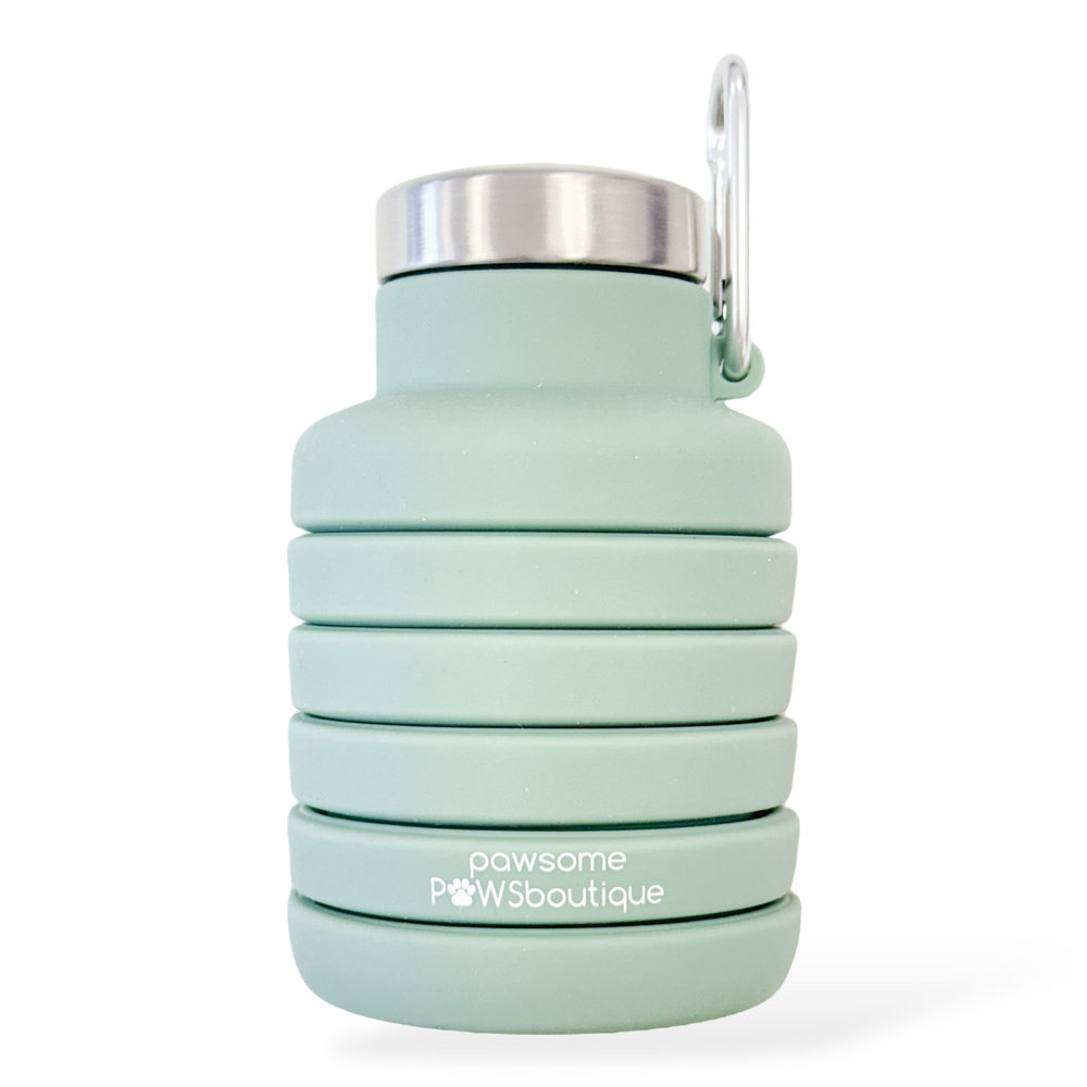 Collapsible Water Bottle - Green