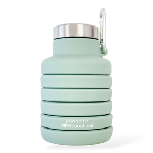 Collapsible Water Bottle - Green