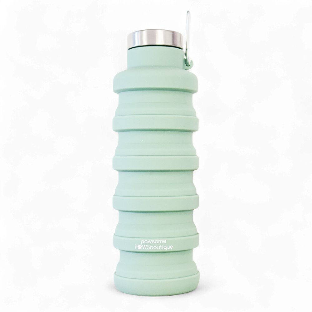 Collapsible Water Bottle - Green