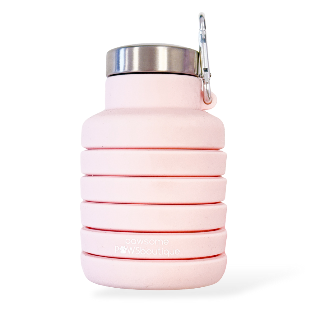 Collapsible Water Bottle - Pink