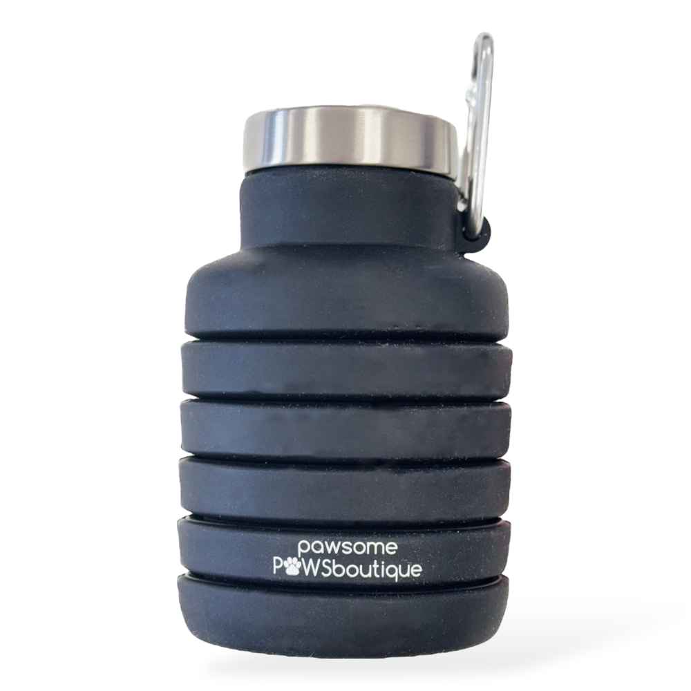 Collapsible Water Bottle - Black