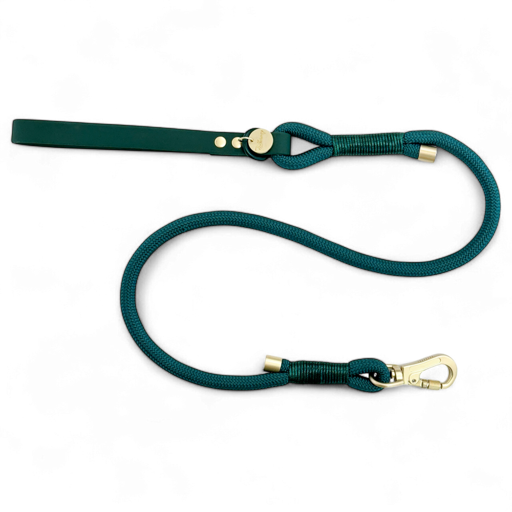 Disney© 4ft Rope Lead - Jungle Book