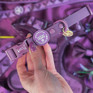 Waterproof Collar - Walkies Ready® Plum