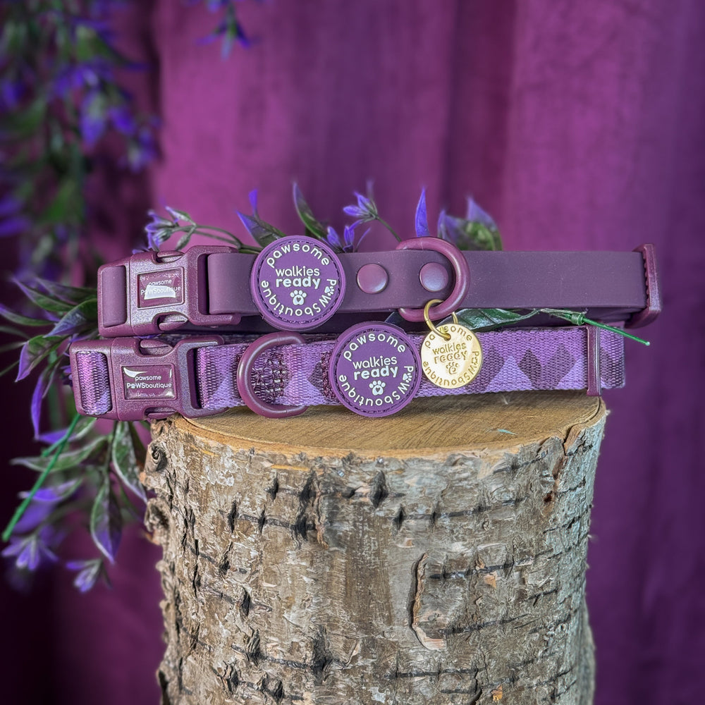 Collar – Walkies Ready® Plum