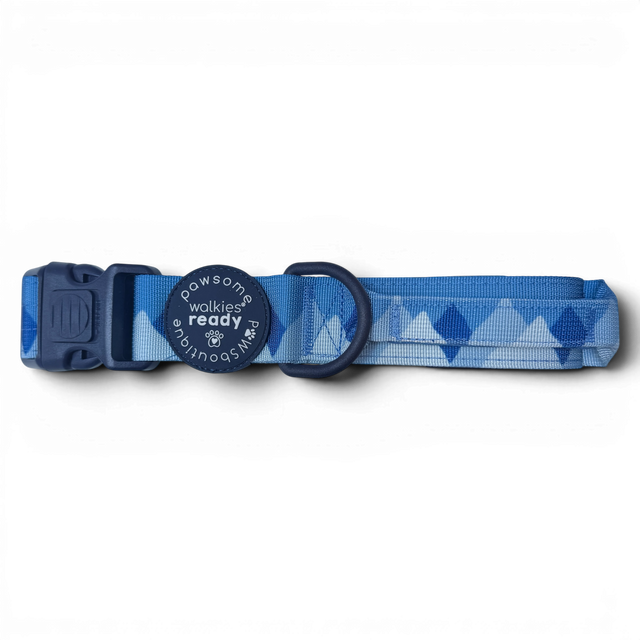 Adventure Collar - Cornflower Blue (Size Large Only)