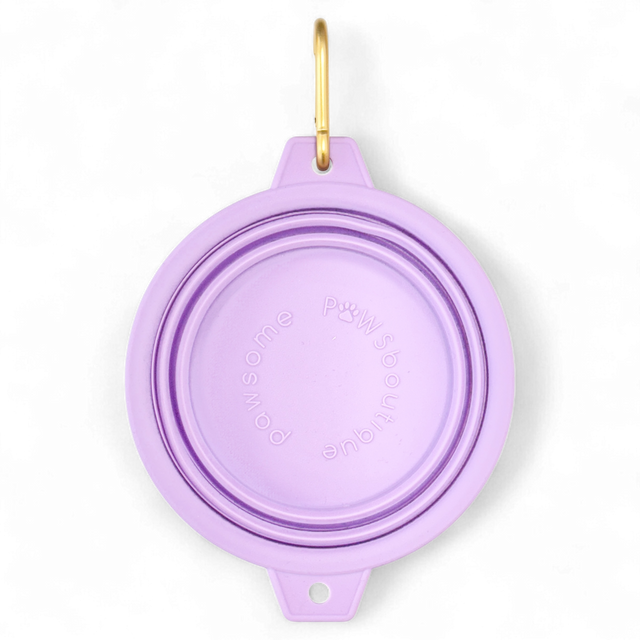 Collapsible Dog Bowl - Lilac (Gold Clip)