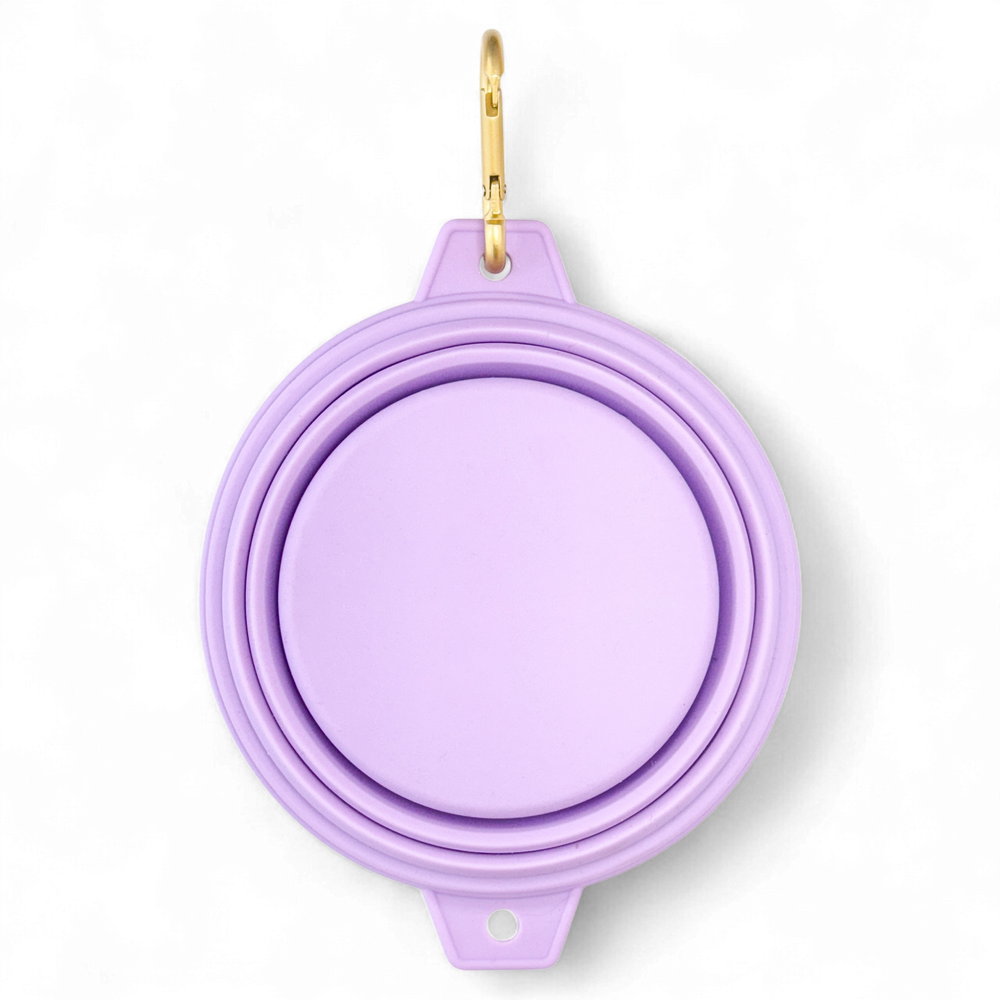 Collapsible Dog Bowl - Lilac (Gold Clip)