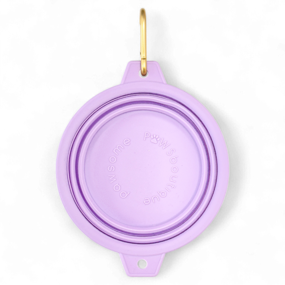 Collapsible Dog Bowl - Lilac (Gold Clip)
