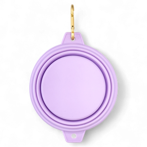Collapsible Dog Bowl - Lilac (Gold Clip)
