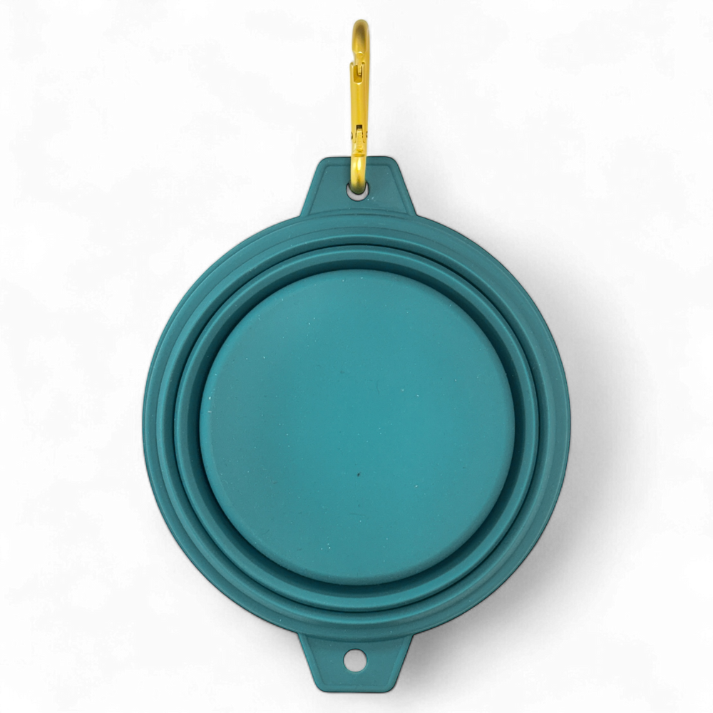 Collapsible Dog Bowl - Teal (Gold Clip)