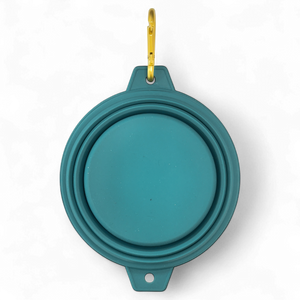 Collapsible Dog Bowl - Teal (Gold Clip)