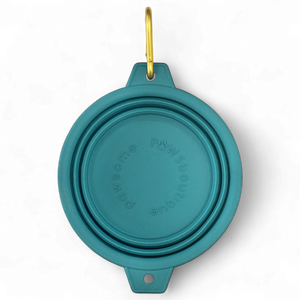 Collapsible Dog Bowl - Teal (Gold Clip)