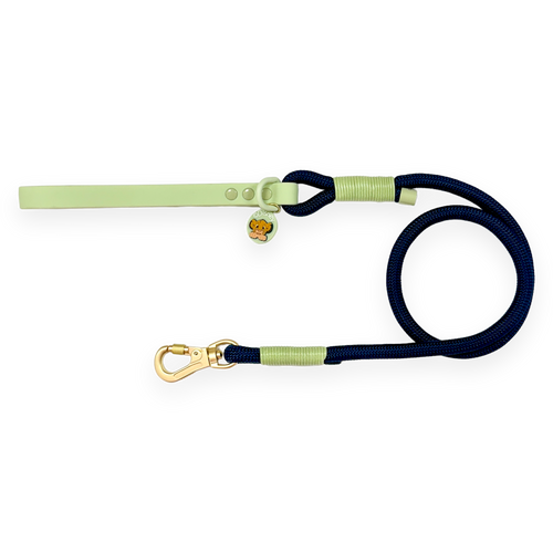 Disney© 4ft Rope Lead - Simba - Navy and Mint