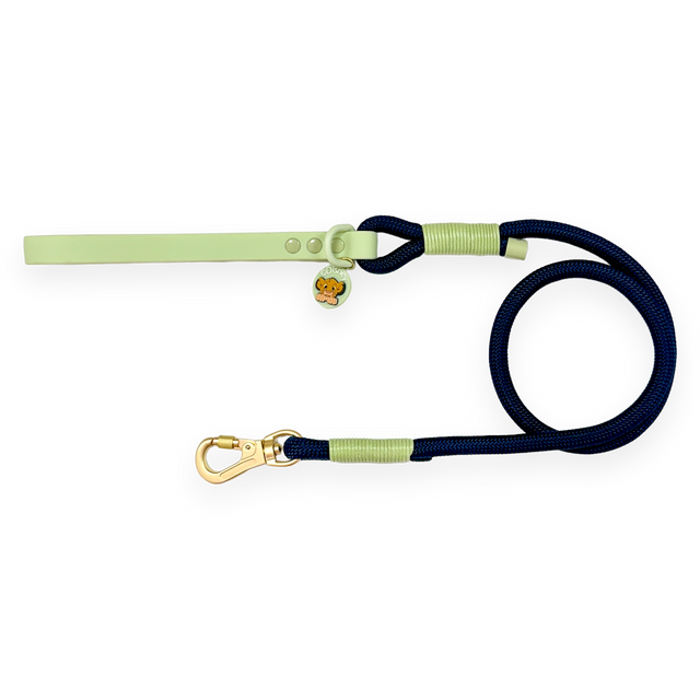 Disney© 4ft Rope Lead - Simba - Navy and Mint