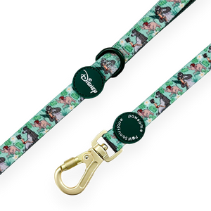 Disney© Disney©Lead - Jungle Book