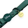 Disney© Waterproof Collar - Jungle Book