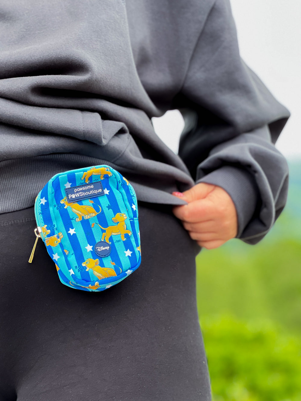 Disney© Treat + Go Bag - Simba