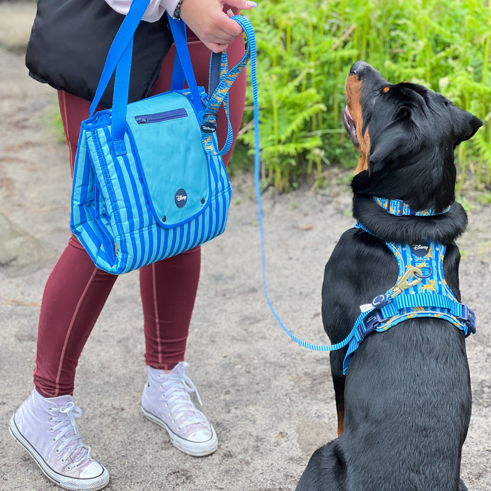 Disney© Travel Mat - Simba