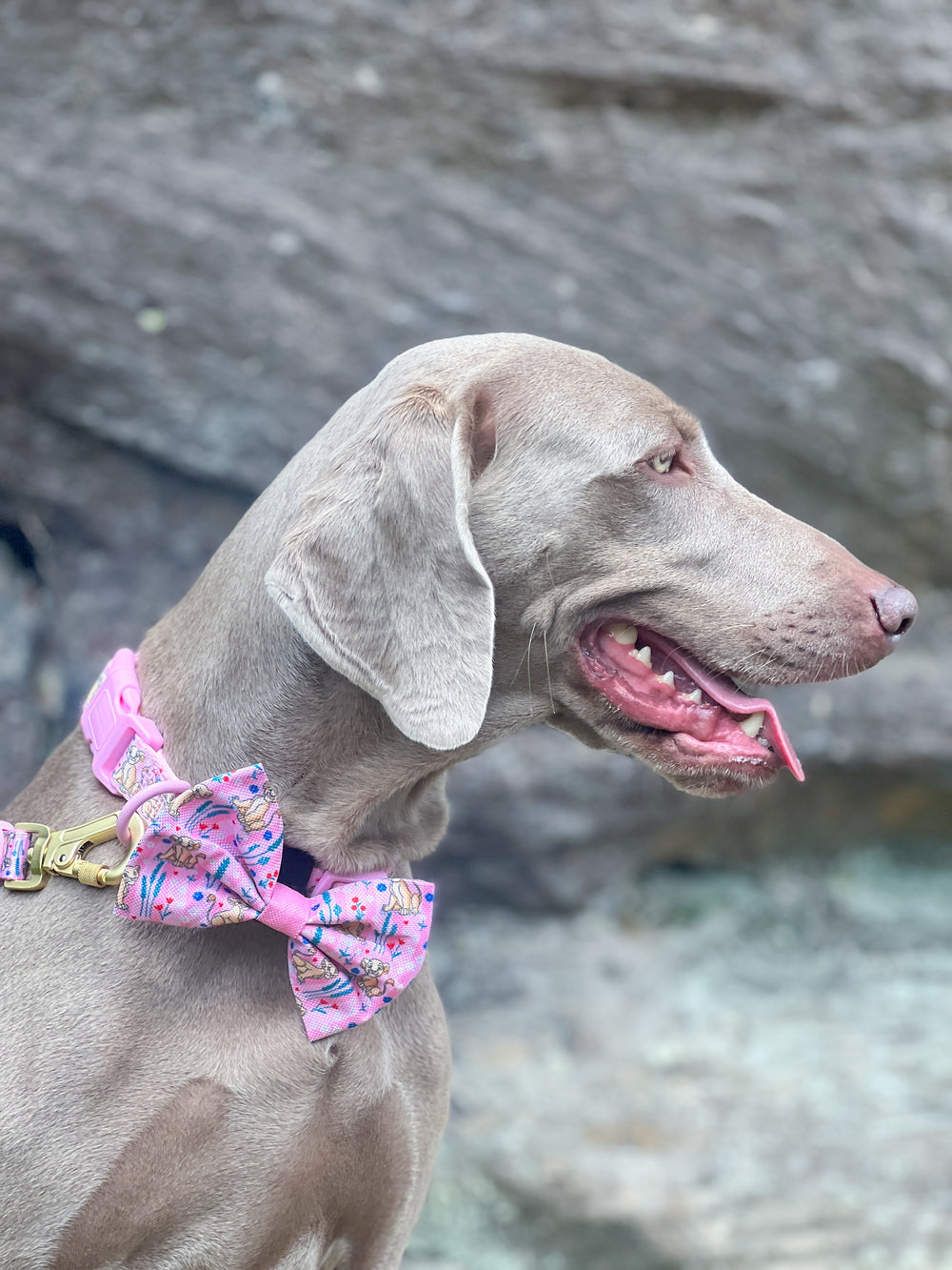 Disney© Bow Tie - Nala