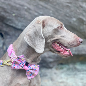 Disney© Bow Tie - Nala