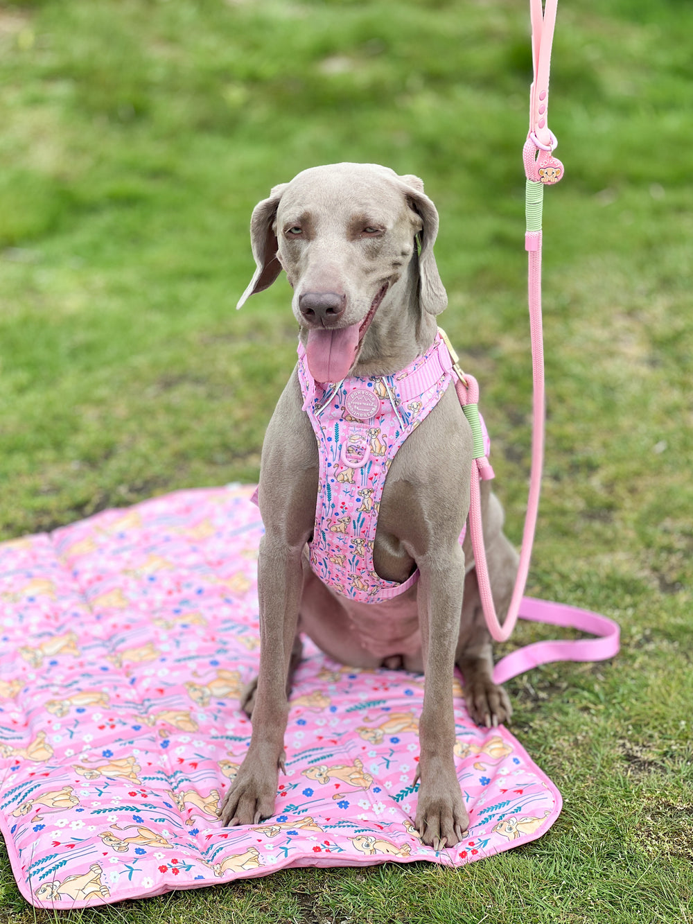 Disney© Travel Mat - Nala