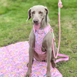 Disney© Travel Mat - Nala