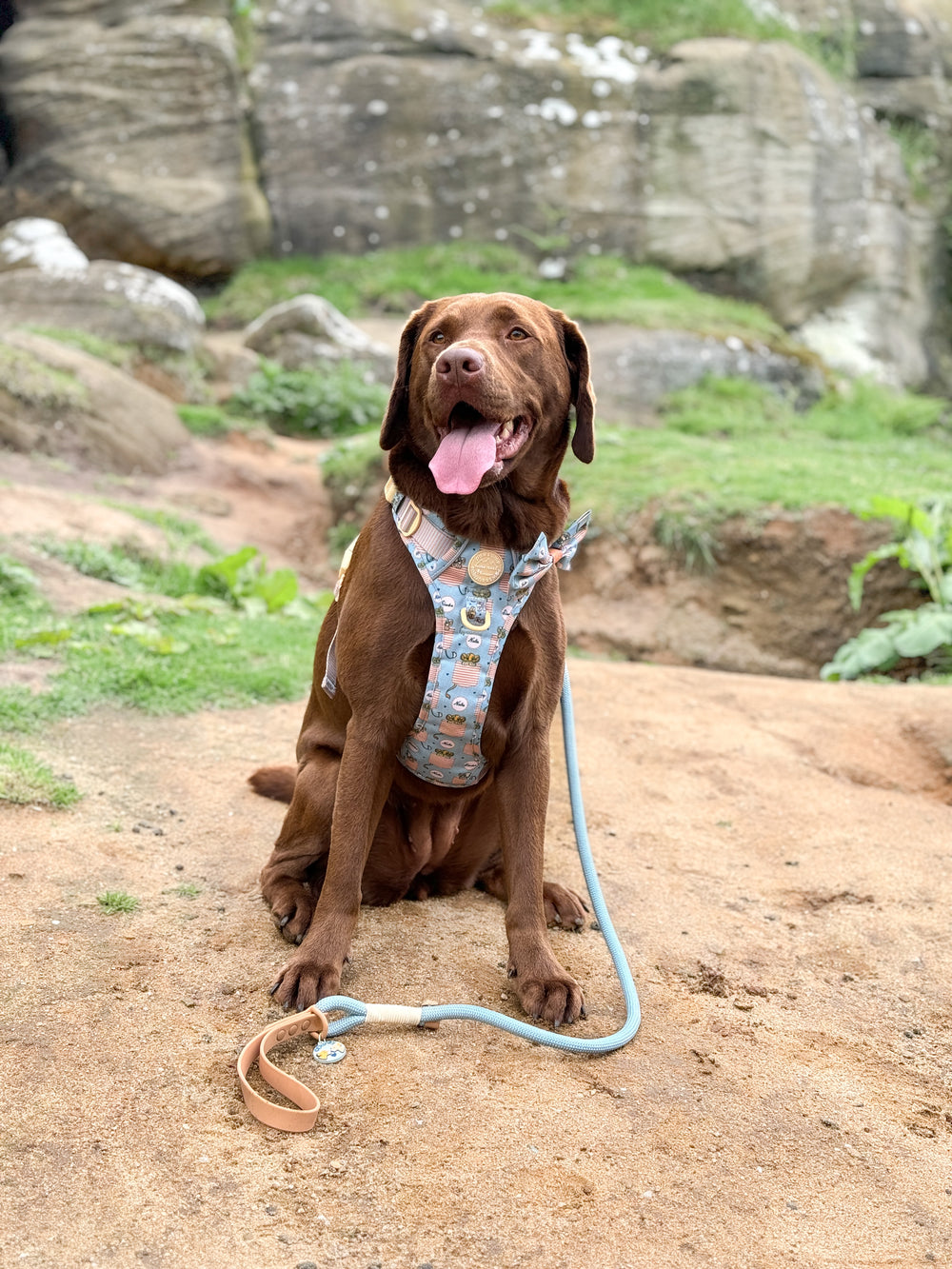 Disney© 4ft Rope Lead - Lion Friends - Sage and Mustard